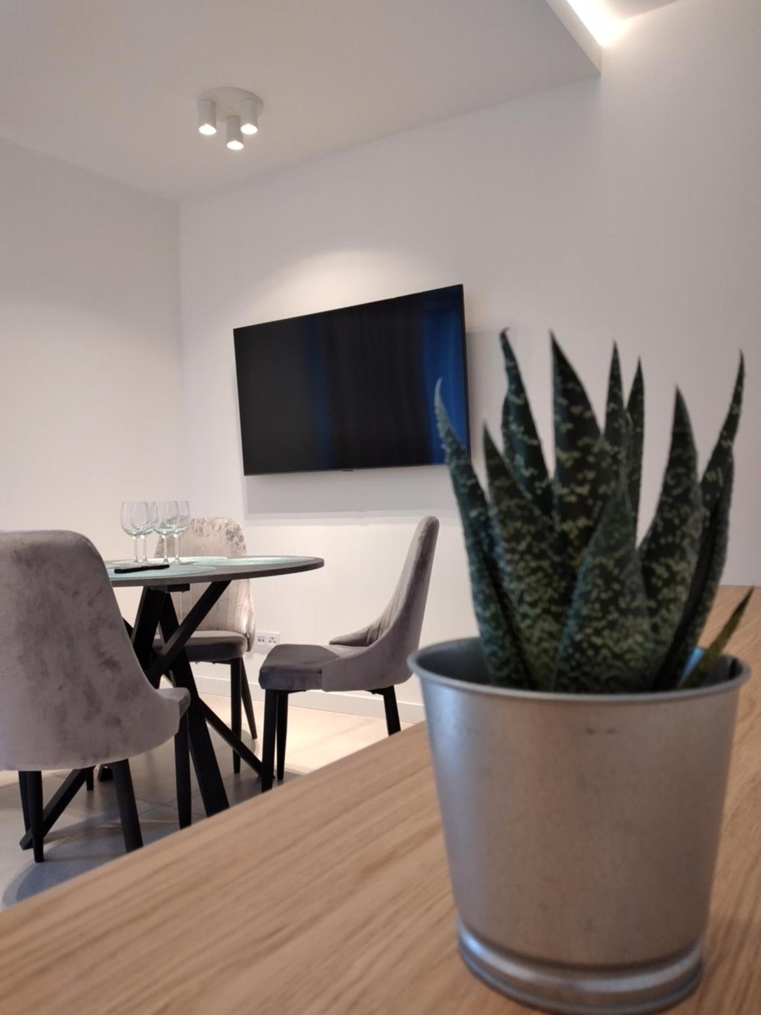 Świeradów-Zdrój Apartament Zrodlana Ski 300M מראה חיצוני תמונה
